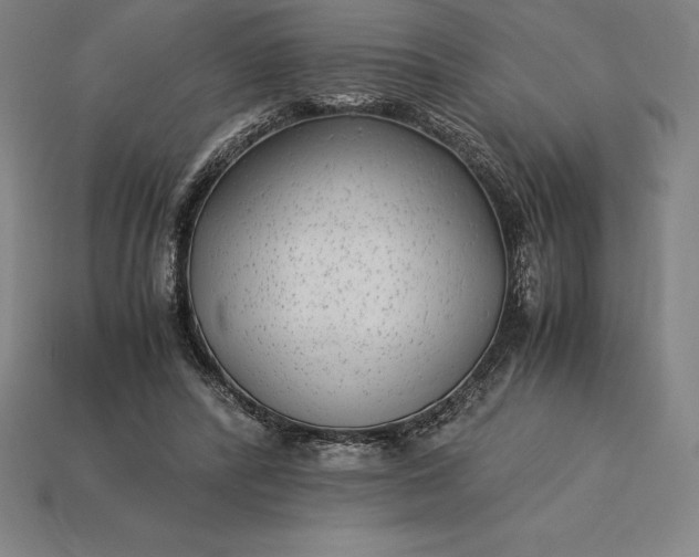 X0000115280400200911131833