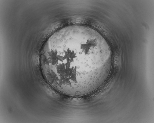 X0000115280401200911131833