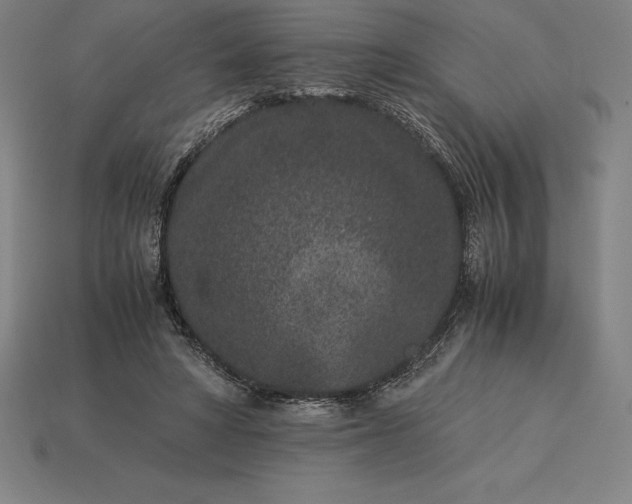 X0000115280402200911131833