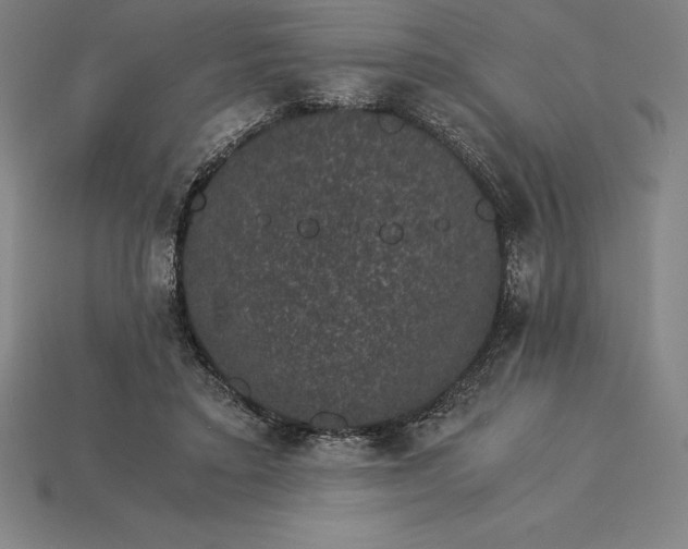 X0000115280403200911131833