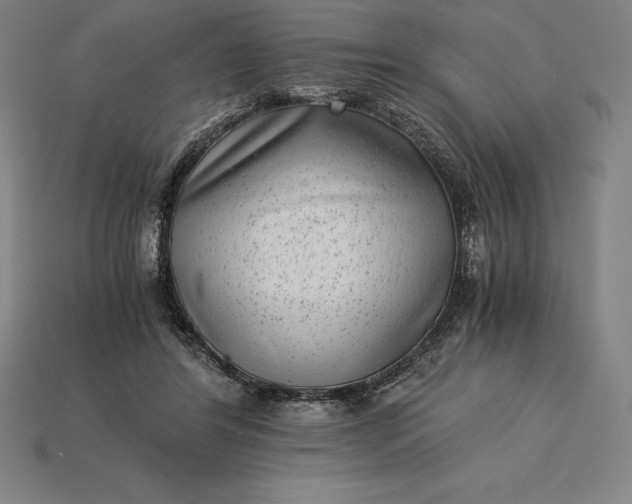 X0000115280404200911131833