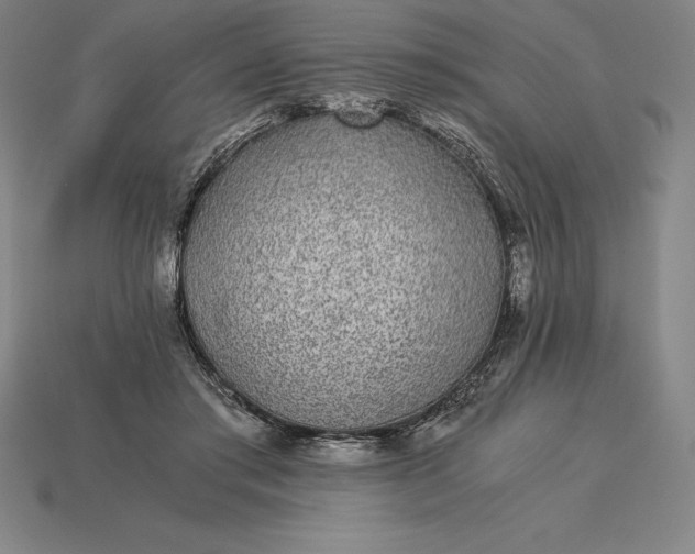 X0000115280405200911131833