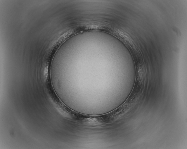 X0000115280406200911131833