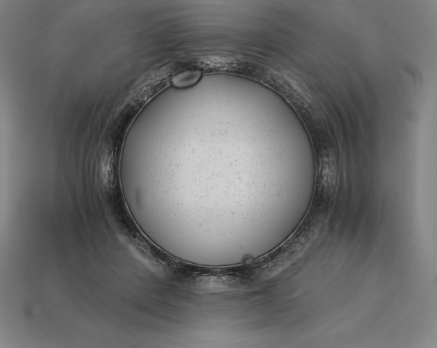 X0000115280408200911131833