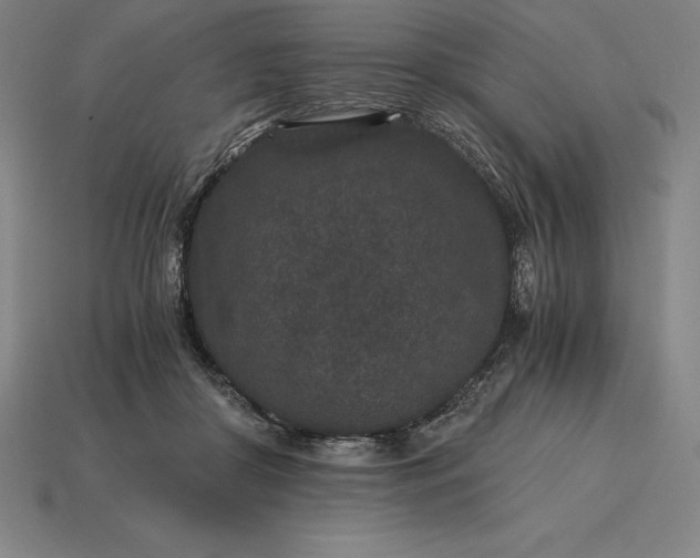 X0000115280410200911131833