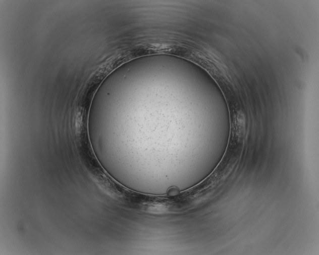 X0000115280412200911131833