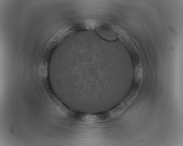 X0000115280413200911131833