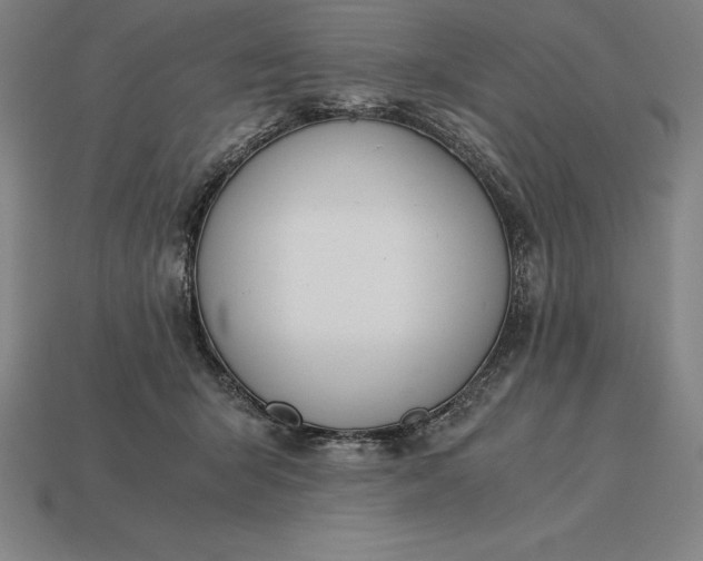 X0000115280415200911131833