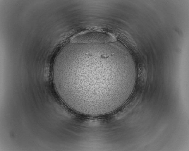 X0000115280416200911131833