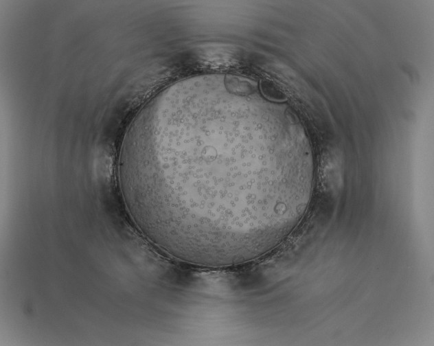 X0000115280417200911131833