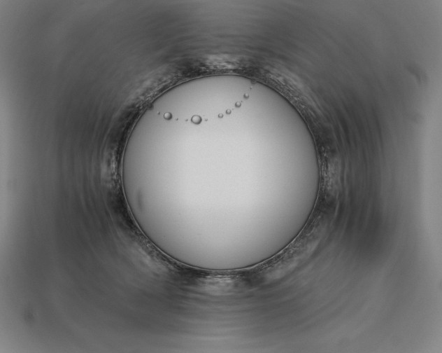 X0000115280418200911131833