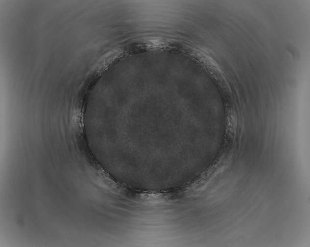 X0000115280419200911131833