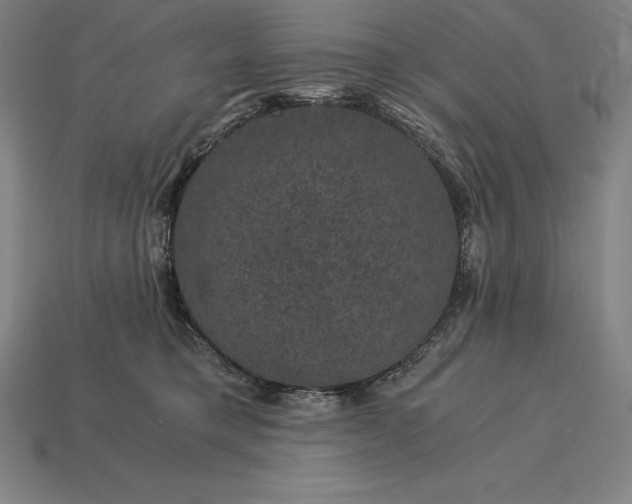 X0000115280421200911131833