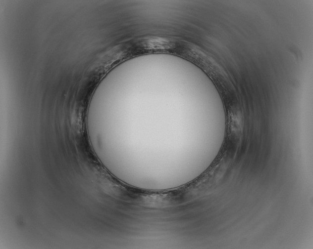 X0000115280422200911131833