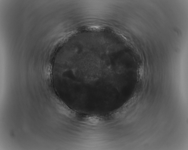 X0000115280423200911131833