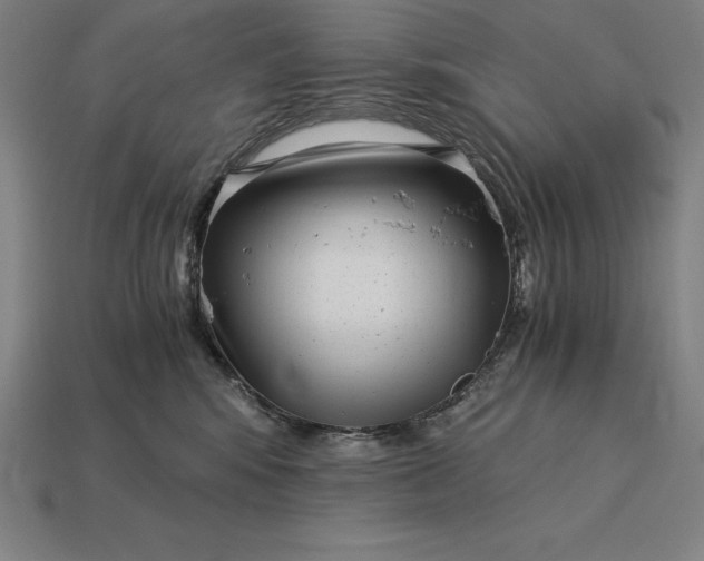 X0000115280424200911131833