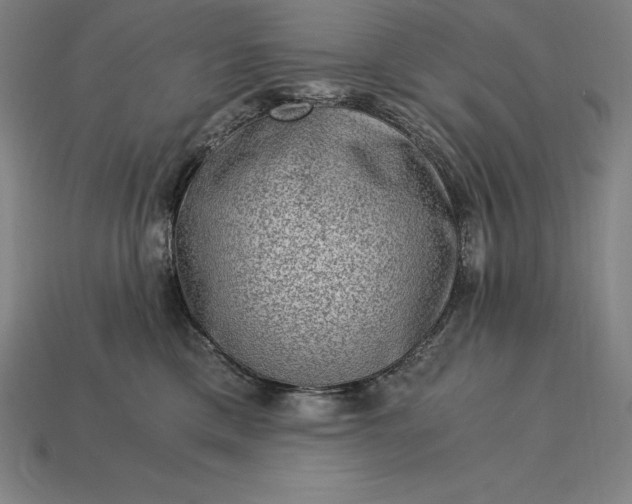 X0000115280425200911131833