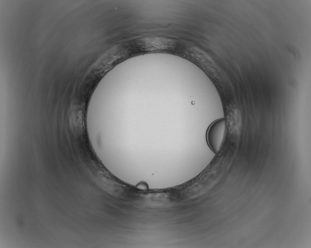 X0000115280426200911131833