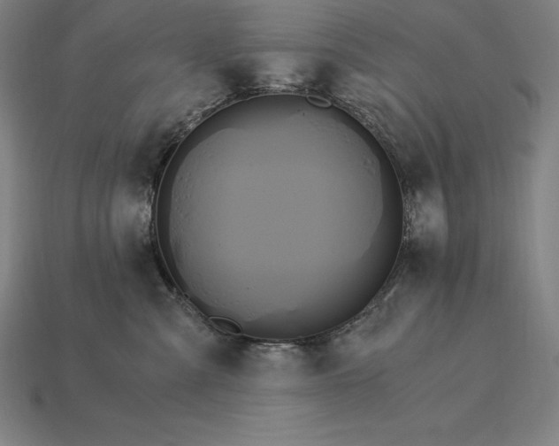 X0000115280427200911131833