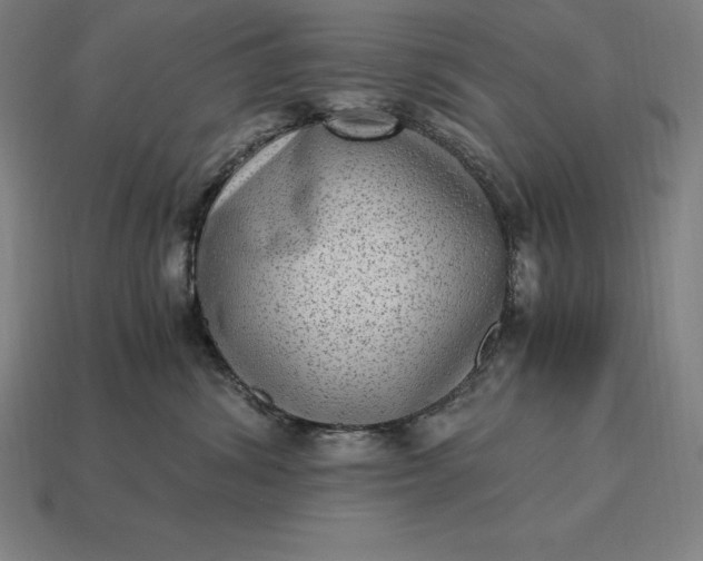 X0000115280428200911131833