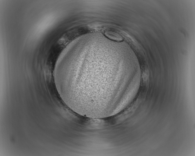 X0000115280429200911131833