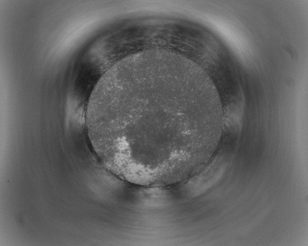 X0000115280431200911131833