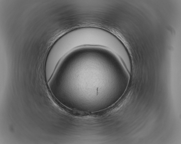 X0000115280433200911131832