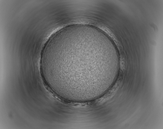 X0000115280434200911131832