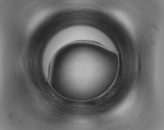 X0000115280435200911131832