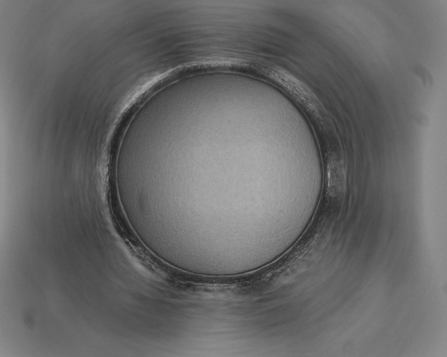 X0000115280436200911131832