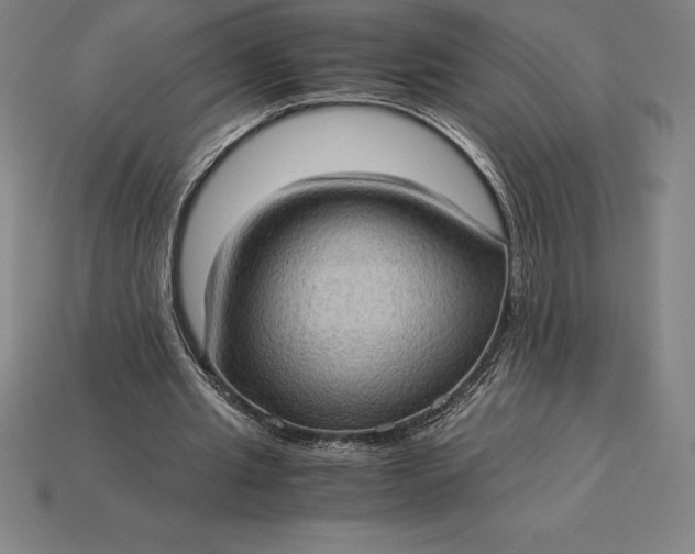 X0000115280437200911131832