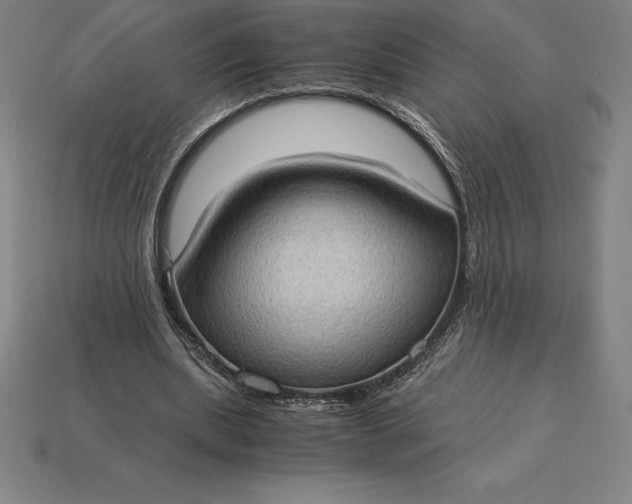 X0000115280439200911131832