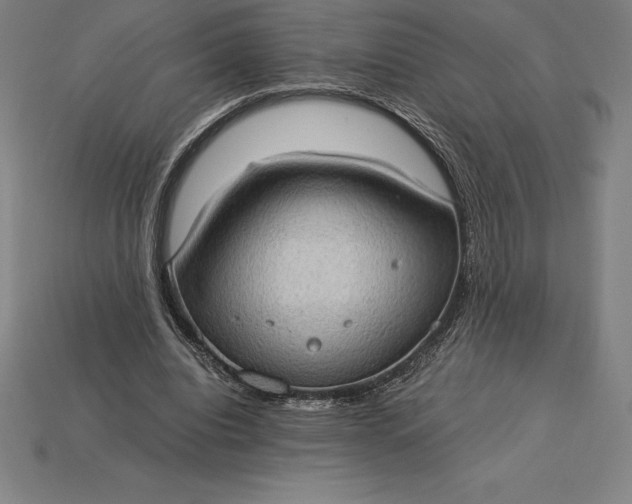 X0000115280440200911131832