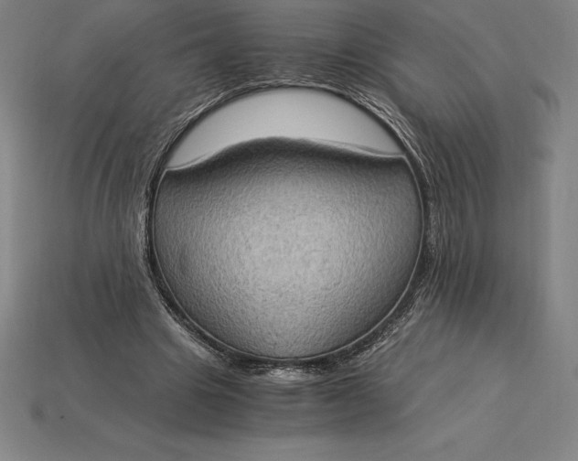 X0000115280441200911131832