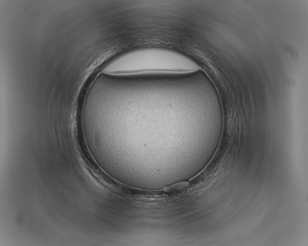 X0000115280443200911131832