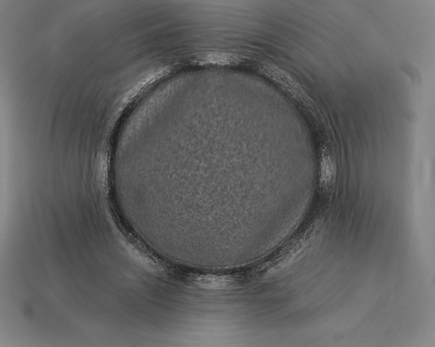 X0000115280444200911131832