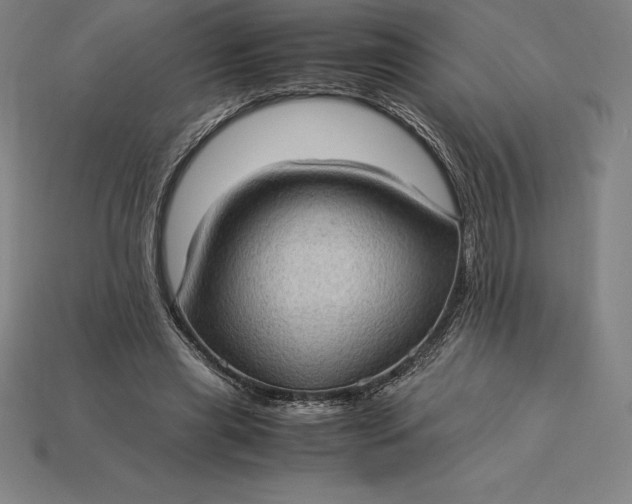 X0000115280445200911131832