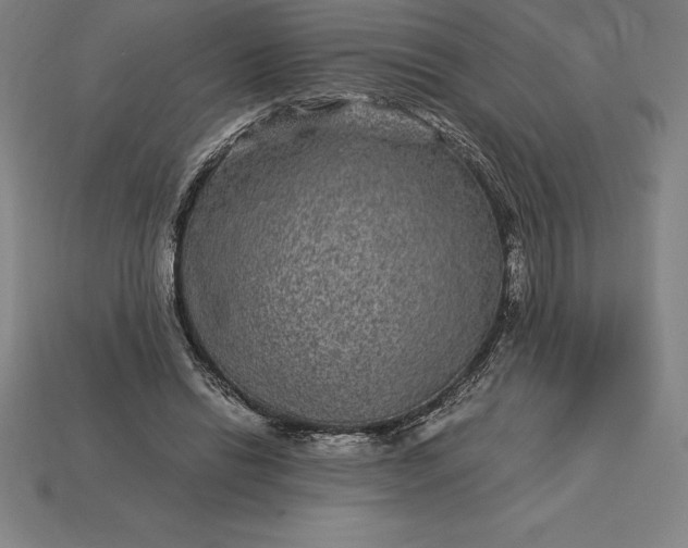 X0000115280446200911131832