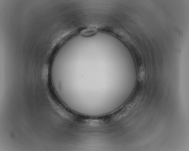 X0000115280448200911131832