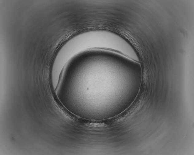 X0000115280449200911131832