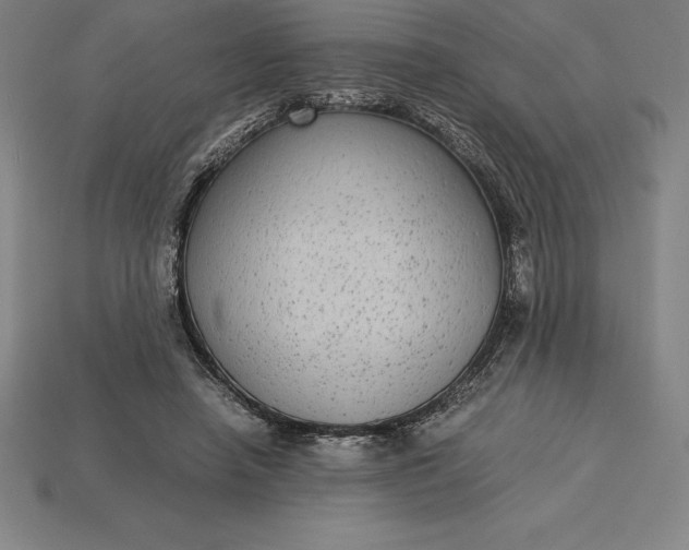 X0000115280450200911131832