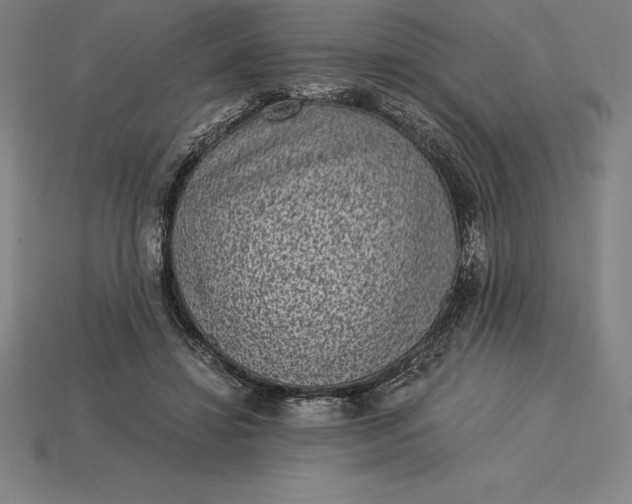 X0000115280452200911131832