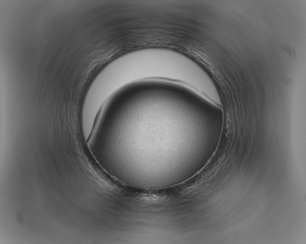 X0000115280453200911131832