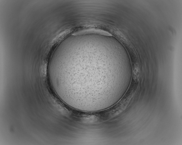 X0000115280454200911131832