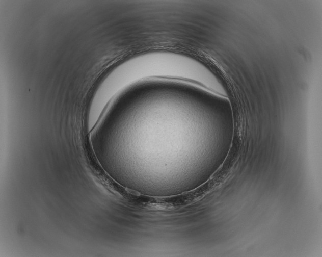 X0000115280455200911131832