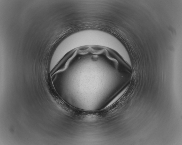 X0000115280456200911131832