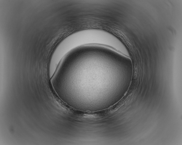 X0000115280457200911131832