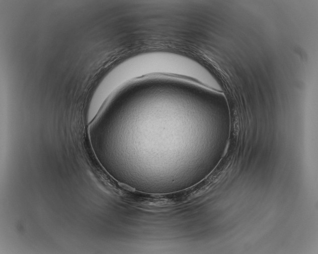 X0000115280459200911131832