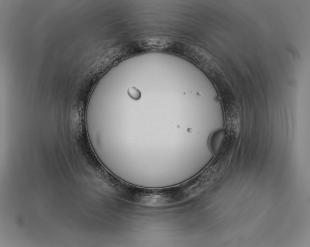 X0000115280460200911131832