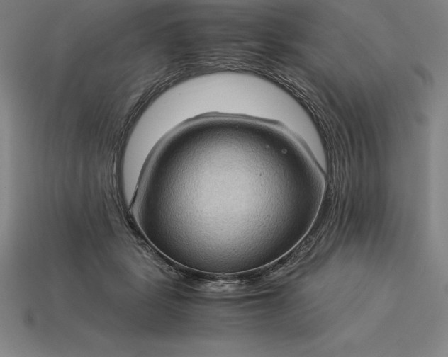 X0000115280461200911131832